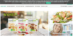 Desktop Screenshot of modifast.se